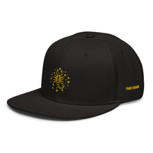 Load image into Gallery viewer, Scorpio Snapback Hat - Frantz Benjamin