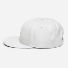 Load image into Gallery viewer, FB Snapback Hat - Frantz Benjamin