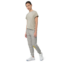 Load image into Gallery viewer, Unisex fleece sweatpants - Frantz Benjamin